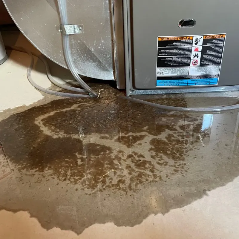Pipe Burst and Leak Restoration in Fennville, MI